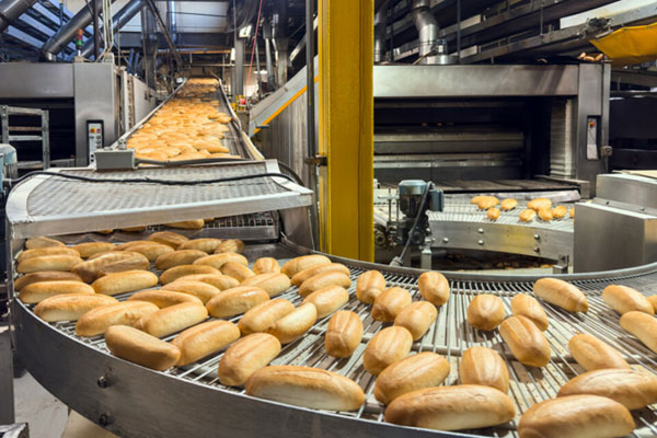 food-&-Processing