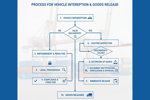 Professional GST transport detention case consultant managing the release process