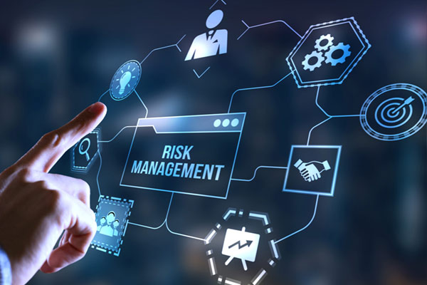 Long-Term-Growth-and-Risk-Mitigation
