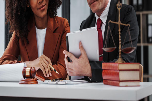 Affordable Company Law Consultant